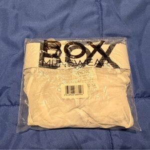 BOX Menswear Sheer White Briefs